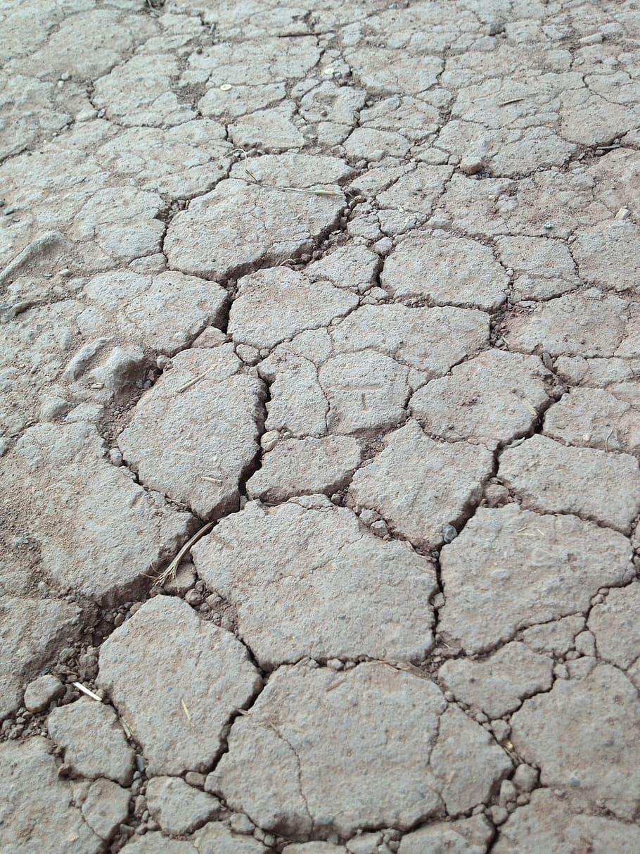 cracked, mud, dry, texture, earth, nature, soil, land, brown HD wallpaper