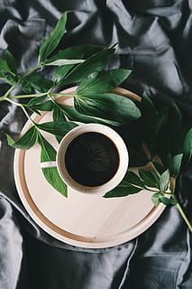 white ceramic mug beside green leaves, filled white cup on top of beige saucer near green leaves HD wallpaper