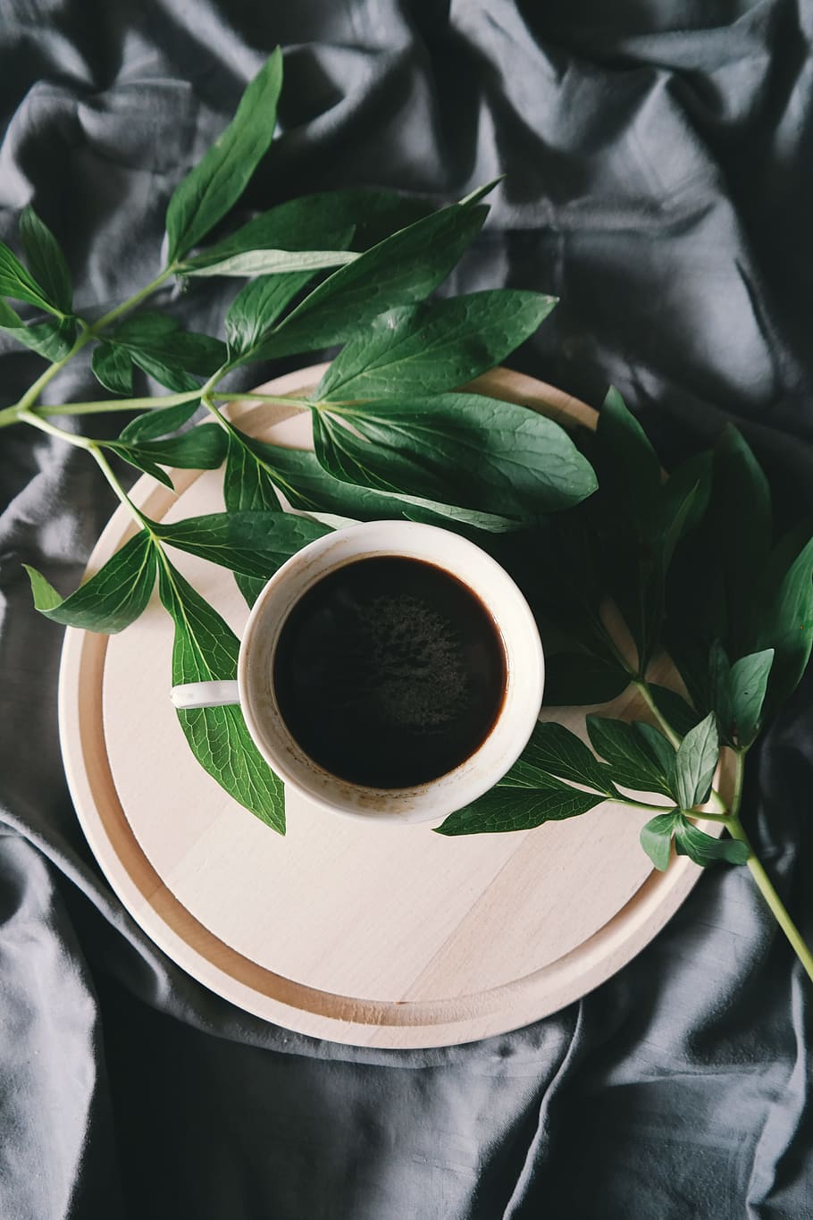 white ceramic mug beside green leaves, filled white cup on top of beige saucer near green leaves HD wallpaper