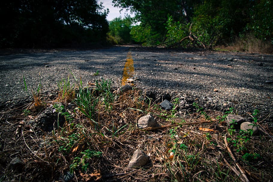 road, stop, overgrown, abandoned, street, broken, left behind HD wallpaper
