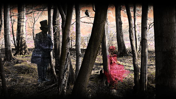 person standing surrounding trees, Hatter, forest, ghosts, mystical HD wallpaper