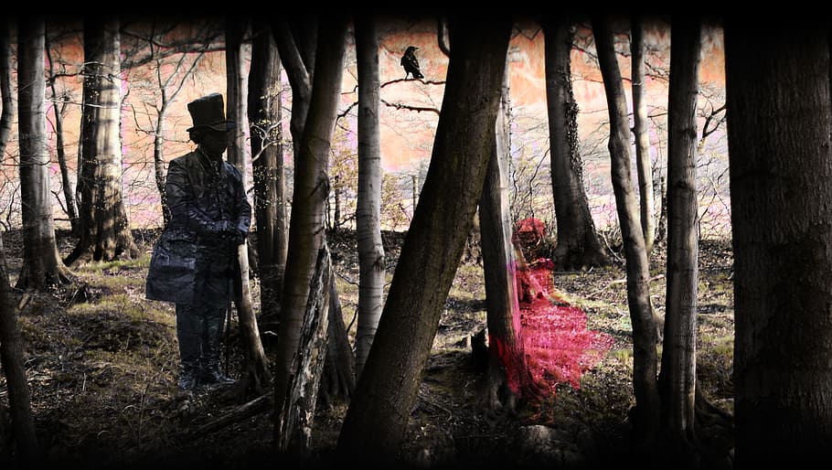 person standing surrounding trees, Hatter, forest, ghosts, mystical HD wallpaper