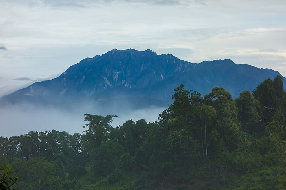 dawn, mountain, clouds, kinabalu, forest, nature, tree, beauty in nature HD wallpaper