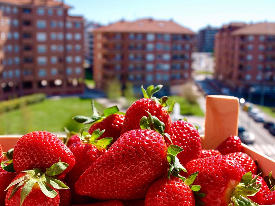 Strawberries, Summer, Fruit, strawberry, food and drink, red HD wallpaper