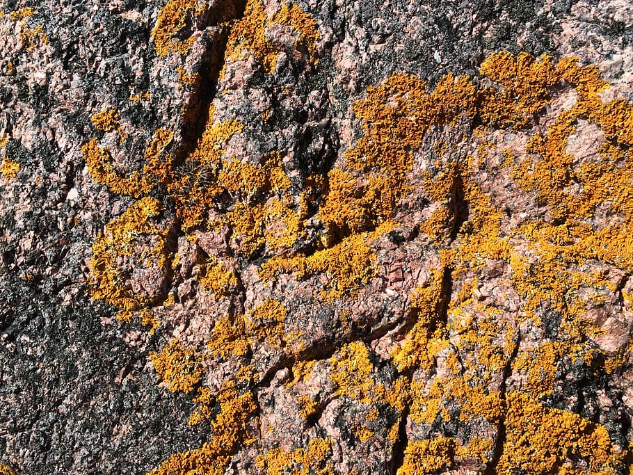 weave, rock, moose, texture, full frame, rock - object, no people HD wallpaper
