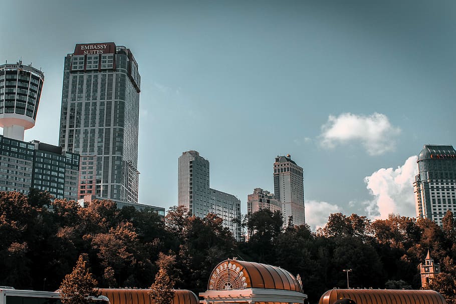 scenery of city building, trees near high-rise buildings, skyline HD wallpaper