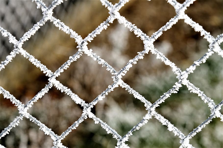 Winter, Snow, Wintry, Snowy, Frost, winter magic, fence, metal HD wallpaper