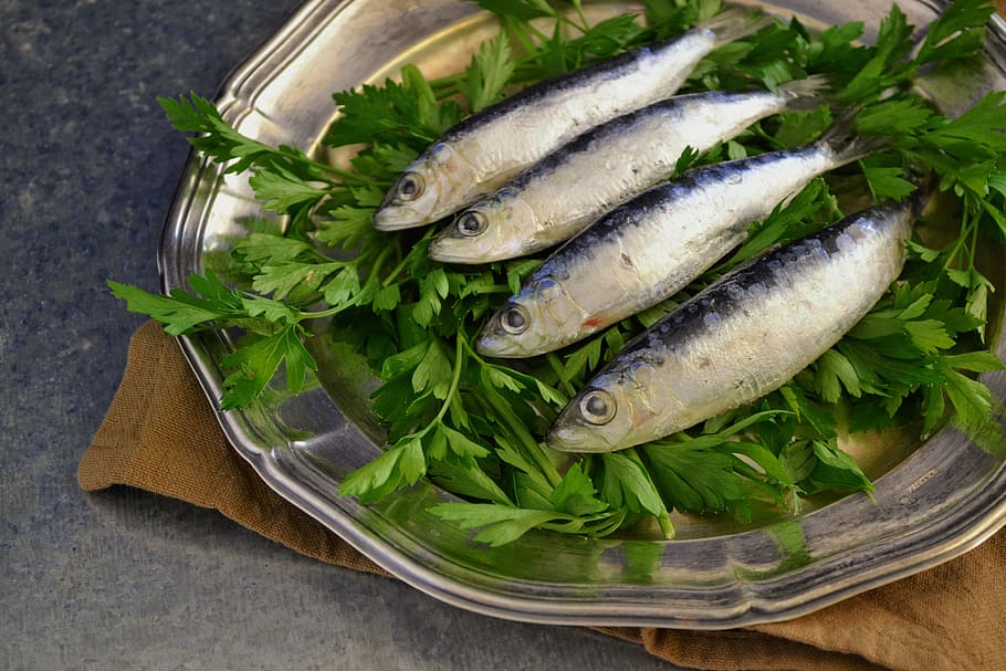 Sardines, Fish, Parsley, fresh fish, plated, metallic plate, HD wallpaper