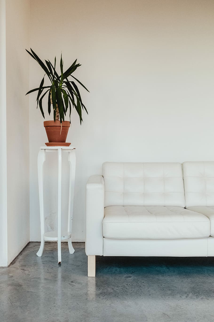 green leaf plant on brown pot, tufted white suede sofa, couch HD wallpaper