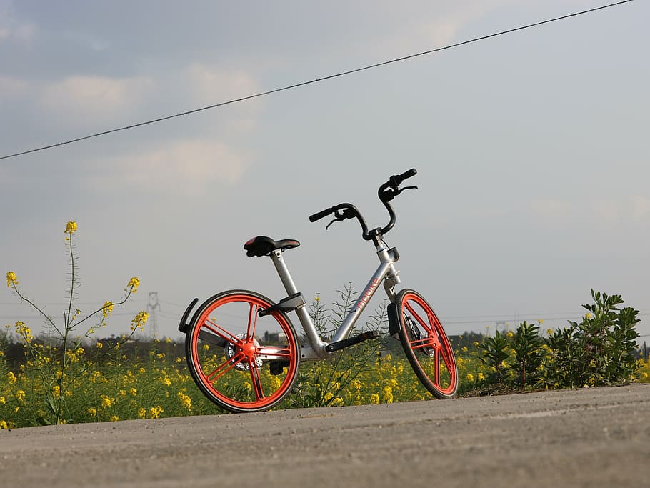 holiday bike