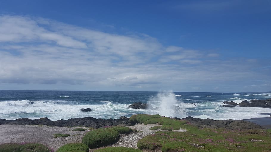 Ocean, Pacific, Pacific, Coast, sea, water, nature, horizon over water HD wallpaper