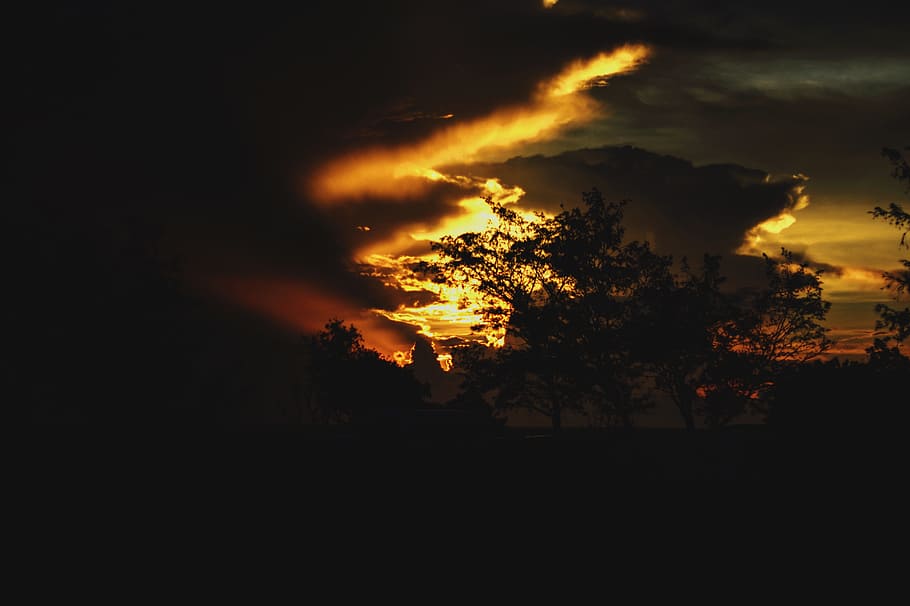nature, landscape, sunset, tree, sky, silhouette, cloud - sky HD wallpaper