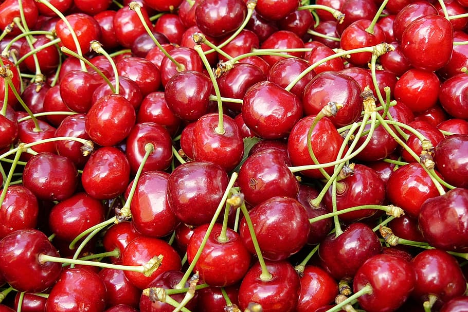 red cherries lot, cherry, fruit, sweet, mature, red fruit, fine HD wallpaper