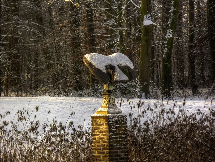 statue, winter, garden, bird, snow, tree, nature, plant, cold temperature HD wallpaper