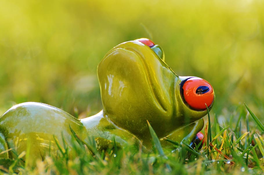 frog, meadow, relaxed, relaxation, figure, animal, green, cute