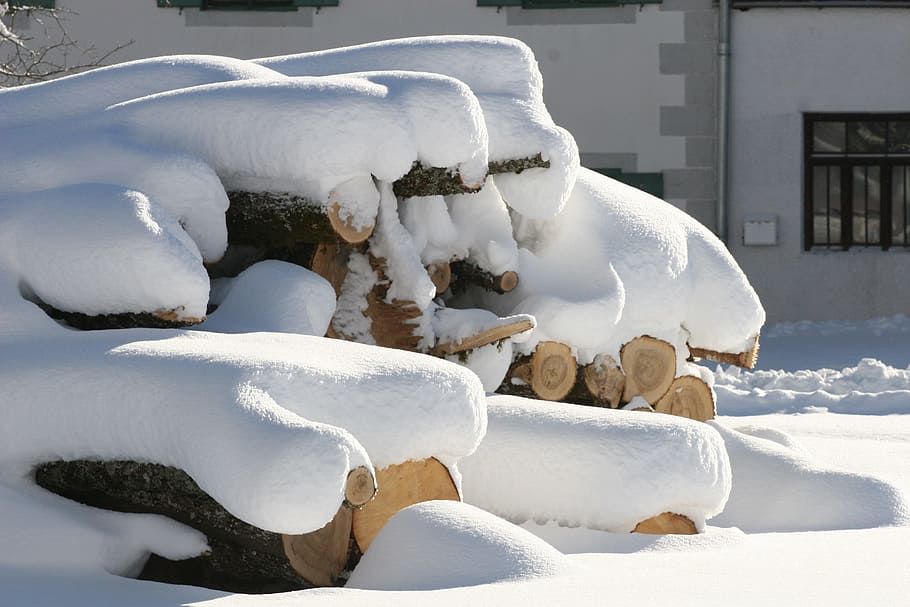 snow, wood, winter, cold, snowdrift, logs, cold temperature HD wallpaper