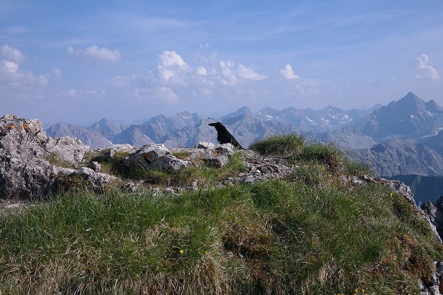 rough horn, summit, outlook, alpine, allgäu, allgäu alps, HD wallpaper