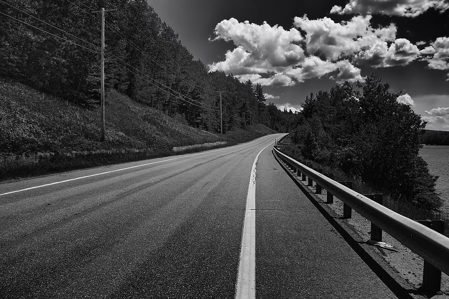 grayscale photography of road under skies, maine, forest, trees HD wallpaper