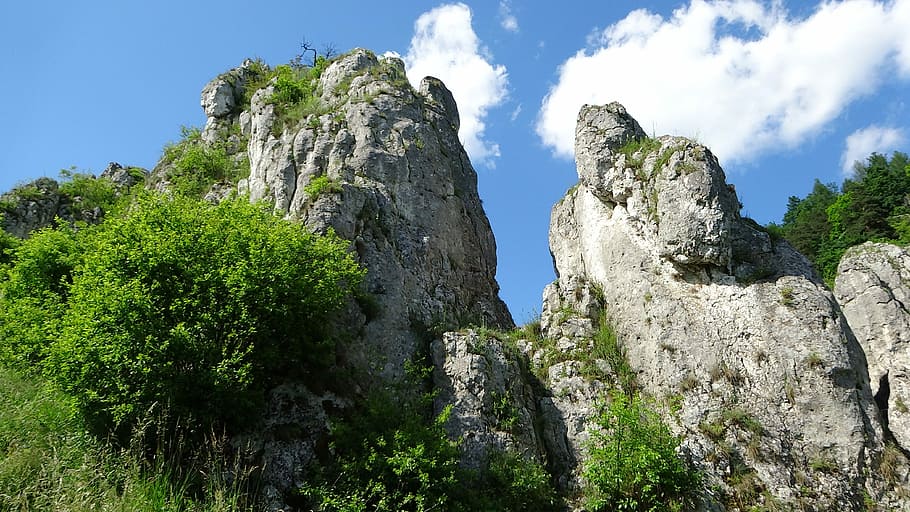Rocks, Limestone, Landscape, Nature, poland, tourism, green HD wallpaper