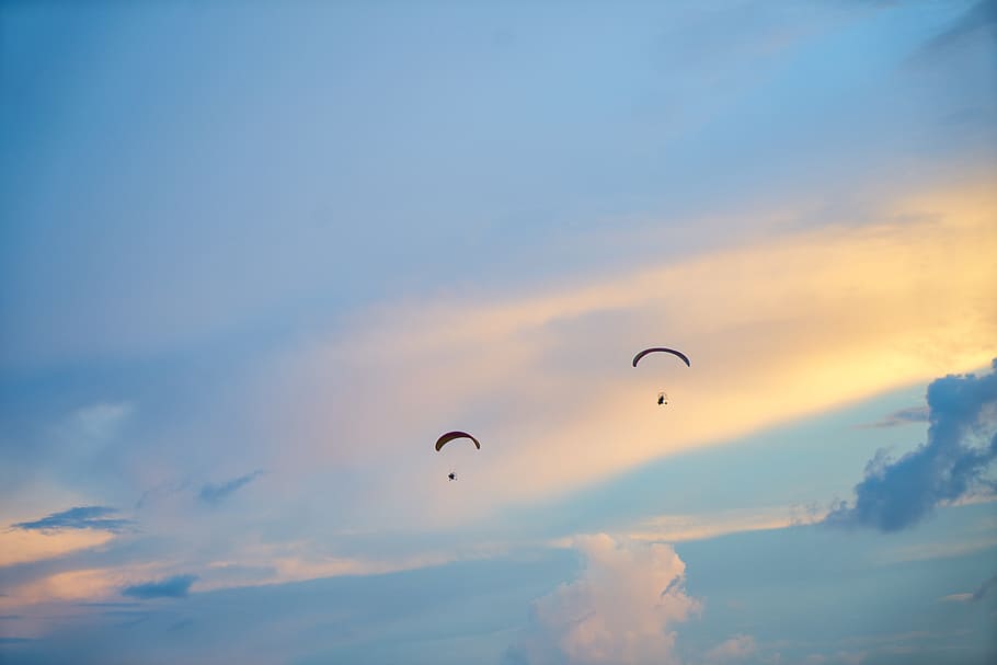 two persons doing paragliding during golden hour, parachute HD wallpaper