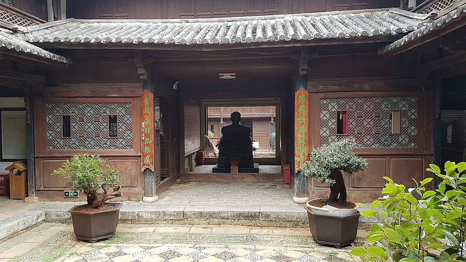 old, chinese, house, rear view, one person, plant, full length HD wallpaper