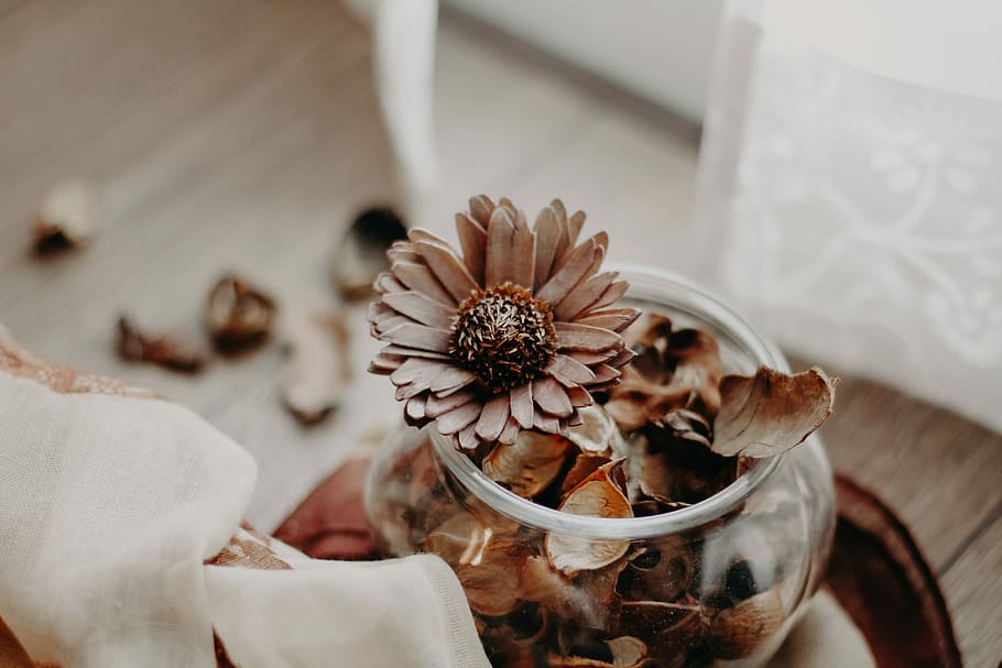 brown petaled flowers in vase inside room at daytime, closeup photo of dried flowers on bowl HD wallpaper