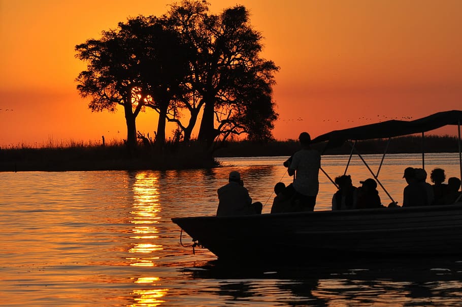 silhouette of people on boat during sunset, water, dawn, silhouetted HD wallpaper