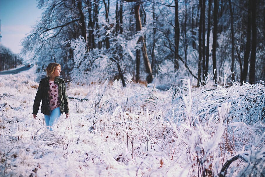 woman walking around forest, woman standing on snow covered flower fields HD wallpaper