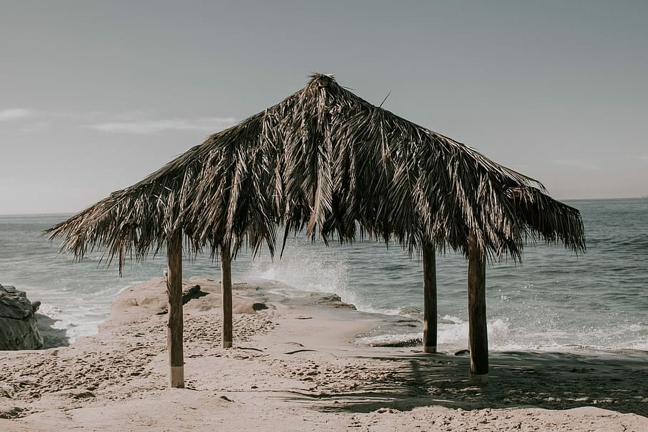 Serene Moments, brown ocean shed, canopy, shelter, leaf, branch HD wallpaper