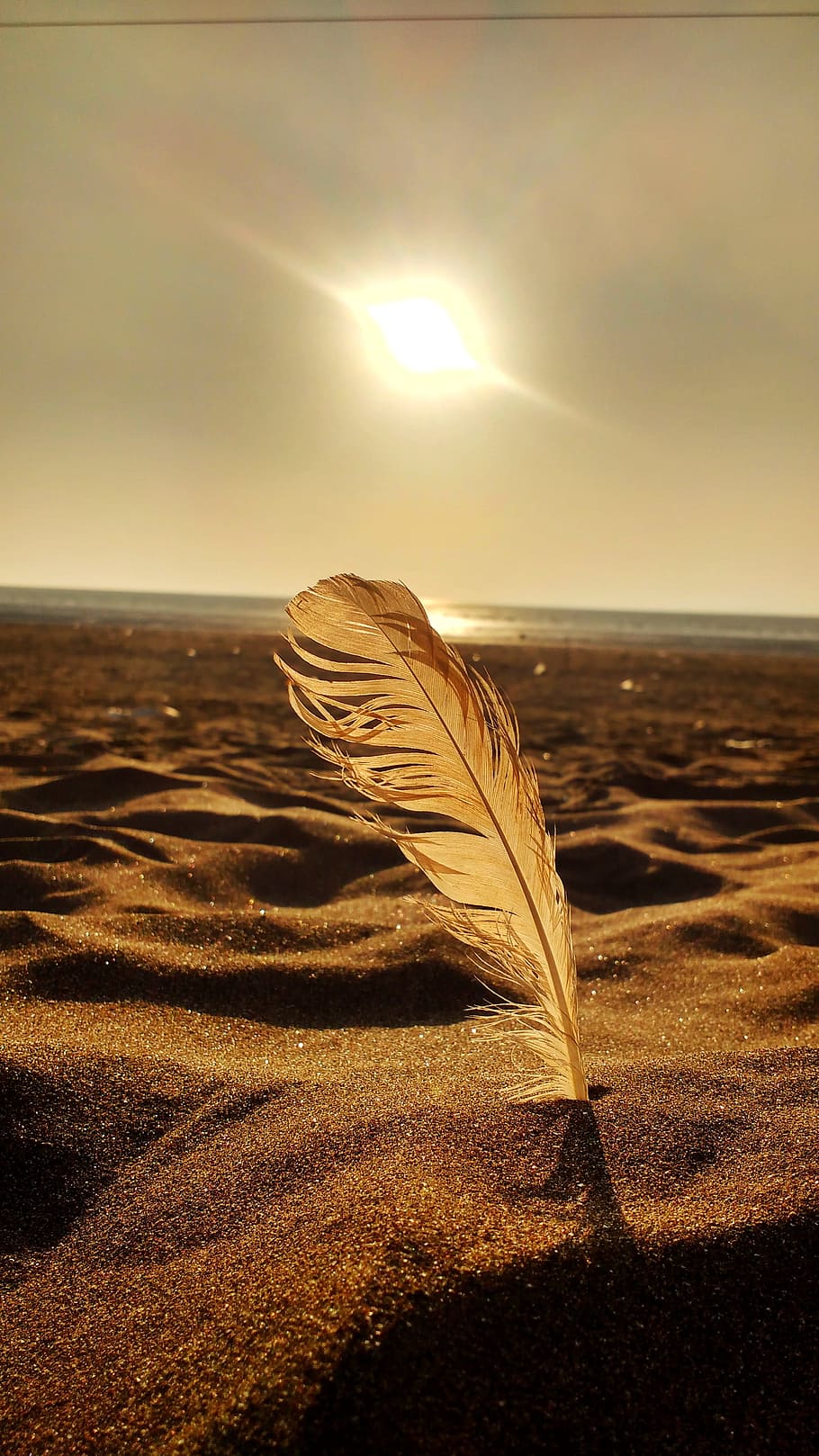 Golden feather 1080P, 2K, 4K, 5K HD wallpapers free download | Wallpaper  Flare