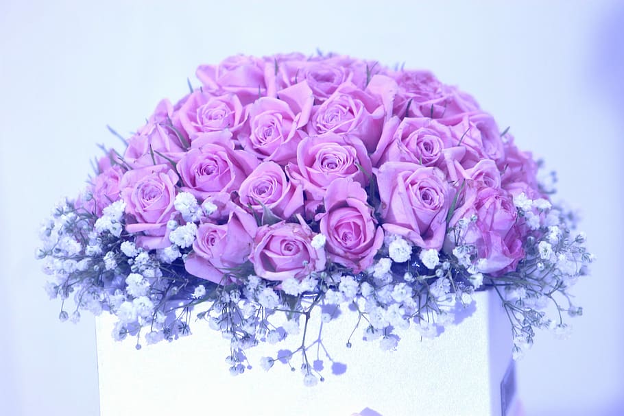 pink rose flowers and baby's breath flowers bouquet in white vase