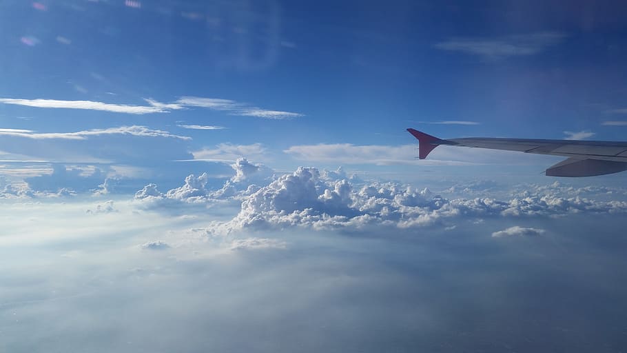 Plants, Airplane, Cloud, the plants, transportation, flying HD wallpaper