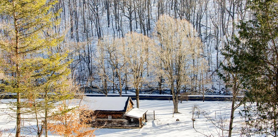 brown cabin in the woods covered in snow, person, showing, house HD wallpaper