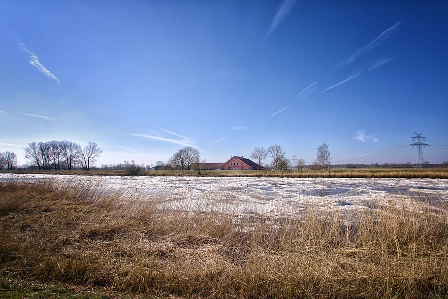 landscape, nature, sky, grass, tree, background, river, frozen HD wallpaper