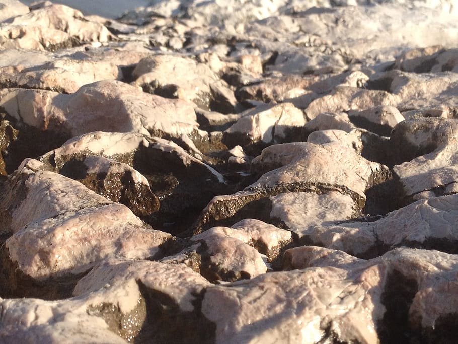 rocks, sassi, water, beach, sunlight, full frame, backgrounds