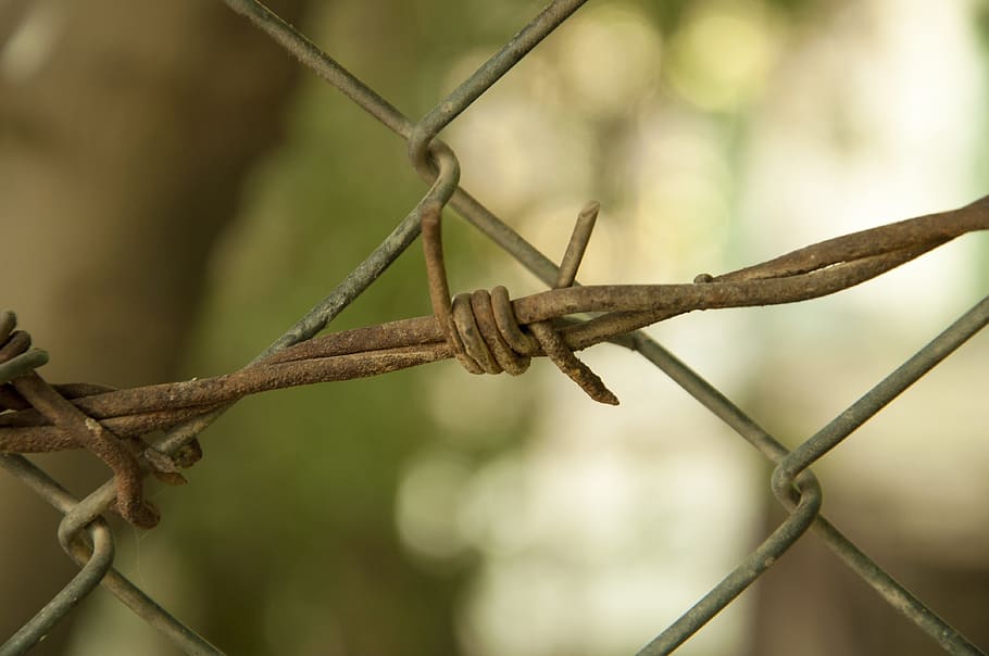 outdoors, nature, barbed wire, fence, safety, close-up, security HD wallpaper