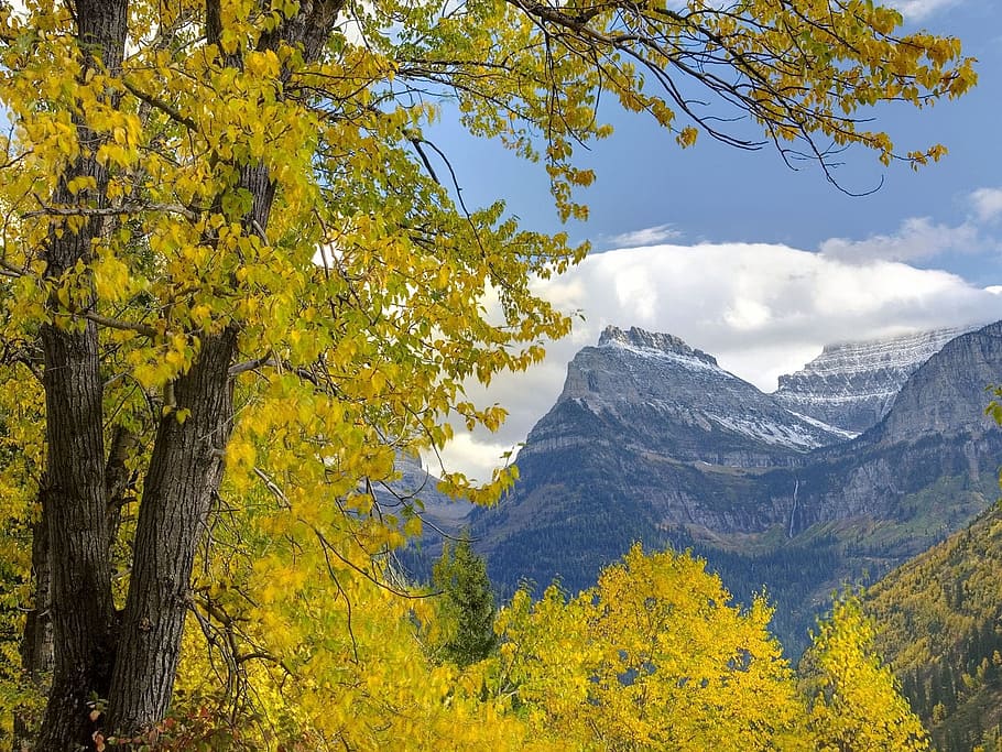 mountain, trees, clouds, landscape, beauty in nature, plant HD wallpaper
