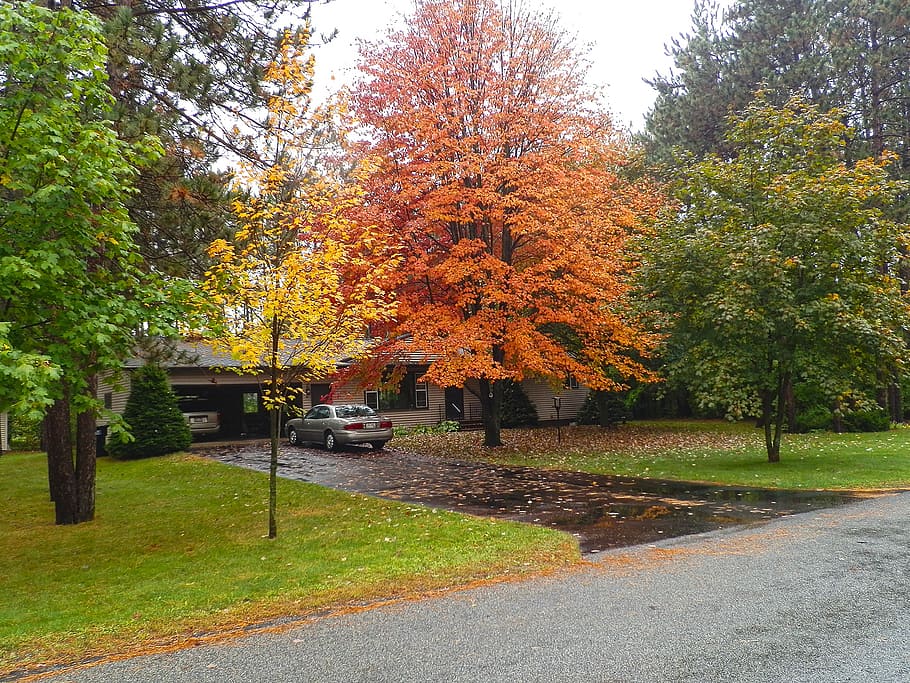 fall, front yard, orange, yellow, foliage, leaves, driveway HD wallpaper