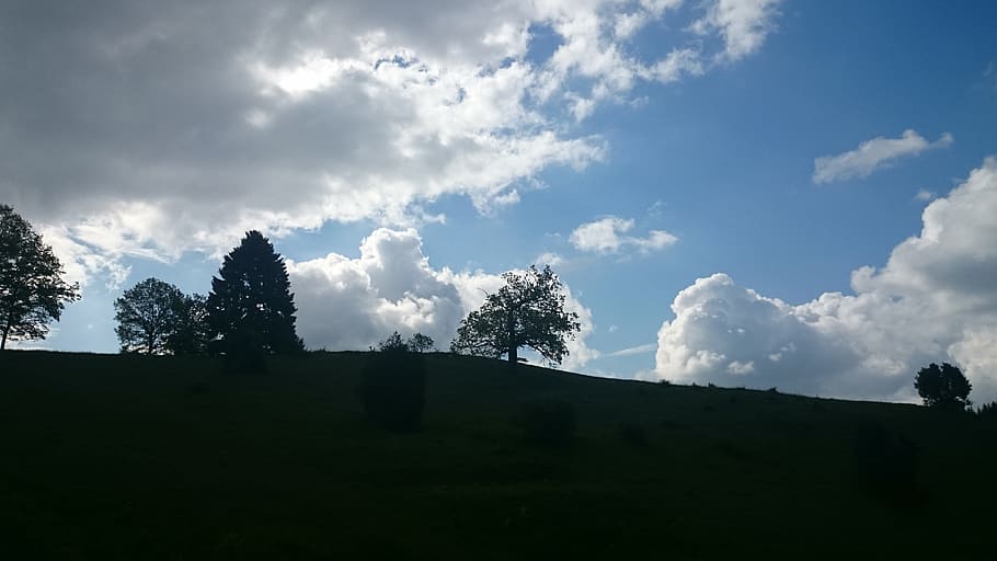 clouds, sky, dark clouds, landscape, cloud - sky, plant, tree HD wallpaper
