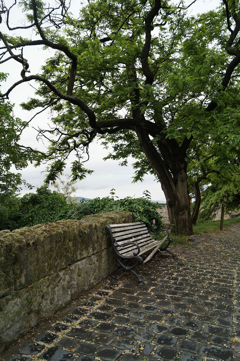 Pad, Privacy, Abandoned, Cobble Stone, broken, tree, no people HD wallpaper