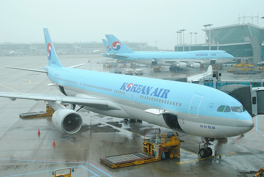 blue and gray Korean Air plane during daytime, incheon international airport