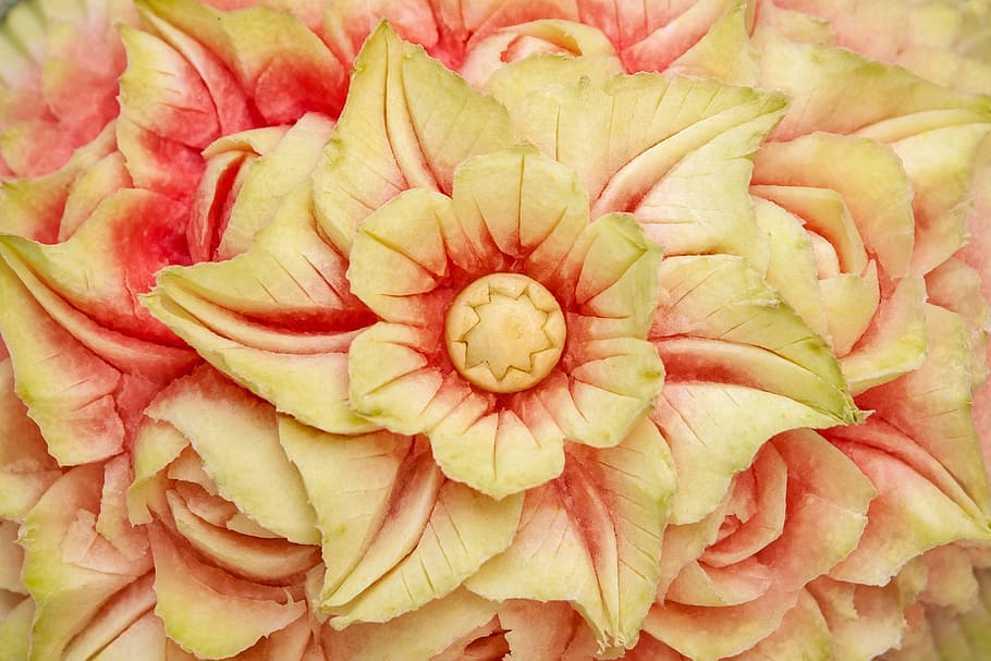 green and red flower fruit art, melon, decoration, fresh, yellow HD wallpaper