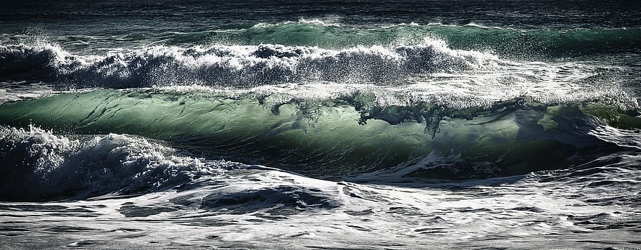 photo of seashore, body of water, Juno, Surf, wave, crest, nature HD wallpaper