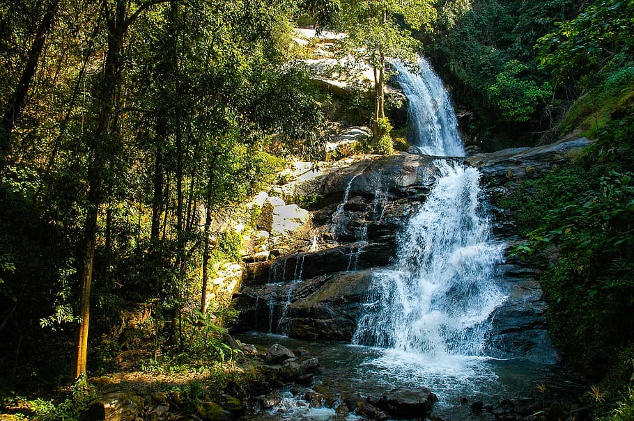 waterfalls between plants and trees, landscape, rock, murmur HD wallpaper