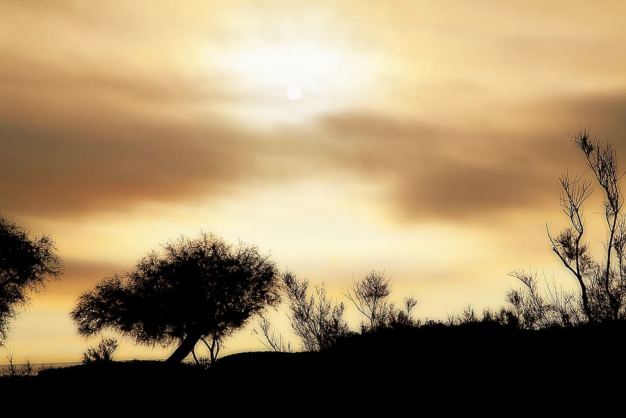 sky, sun, sunrise, clouds, color, contrast, against day, colors HD wallpaper
