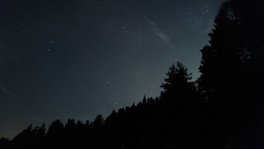 night, sky, stars, forest, nature, france, high-loire, long exposure HD wallpaper