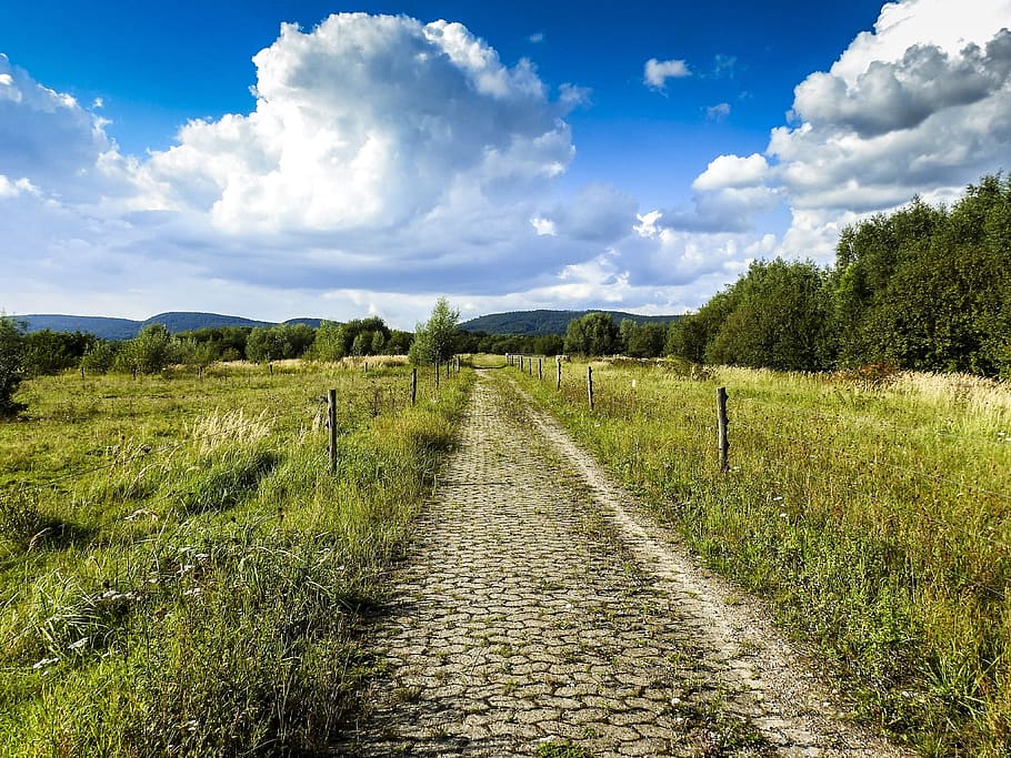 landscape, nature, clouds, away, cloud - sky, plant, environment HD wallpaper