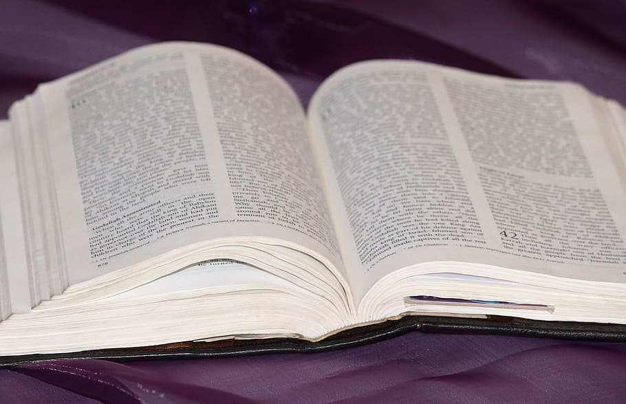 selective focus photo of opened book, Bible, Read, Font, literature HD wallpaper