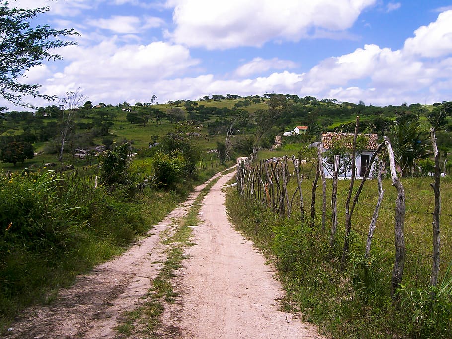 road, trees, spring, landscape, farm, nature, plant, cloud - sky HD wallpaper