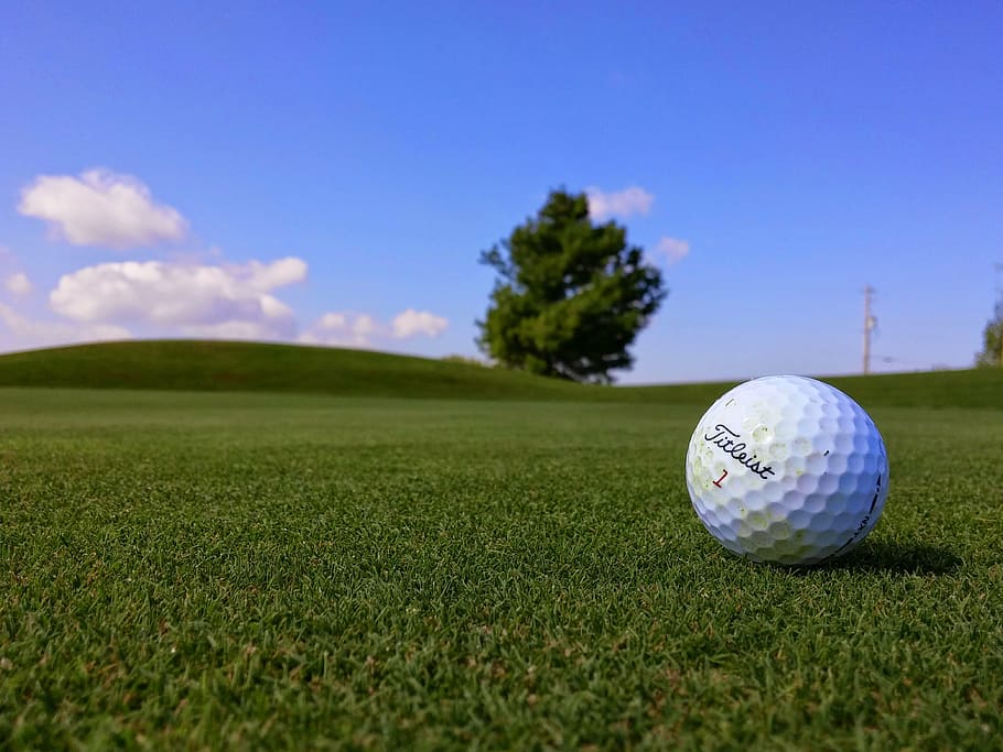 golf ball on grass, white, green, field, Titleist, sports, fun, HD wallpaper